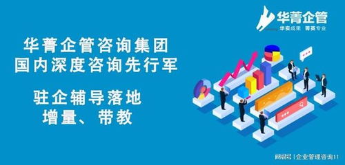 卓越跨境電商企業的戰略導航者——頂尖咨詢管理機構全解析